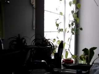 Kiwiipunkk nude and sexy before cam for live chat
