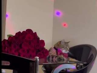 Autoklava nude and sexy before cam for live chat