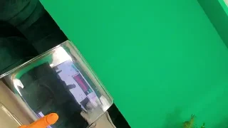 KaylaLaine nude stripping on cam for live sex video chat