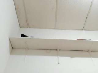 Candyy-doll1 nude and sexy before cam for live chat