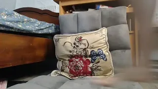 yang_hiii nude stripping on cam for live sex video chat