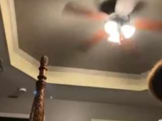 Zyii nude and sexy before cam for live chat